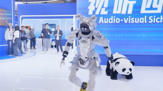 八戒八戒在线观看免费视频